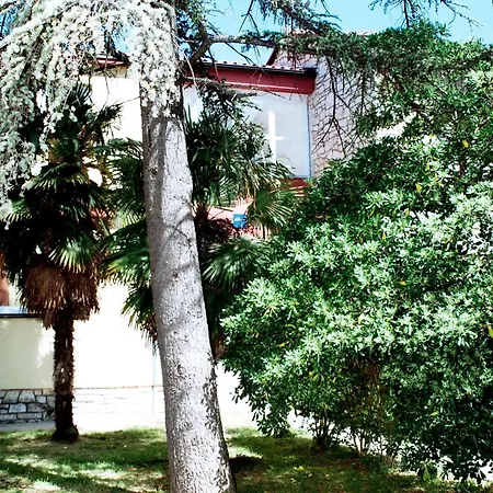 Auberge de jeunesse Amfora *